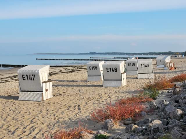 strand_01