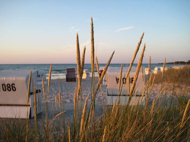strand_mit_duene